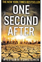 one_second_after