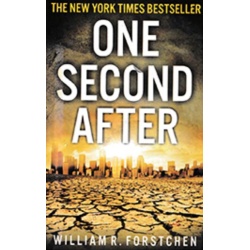 one_second_after